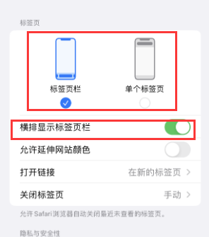 道真iPhone授权维修分享Safari浏览器如何切换标签栏位置 